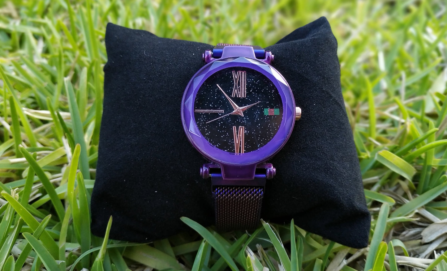 Montre Magnétique de Luxe pour Femmes